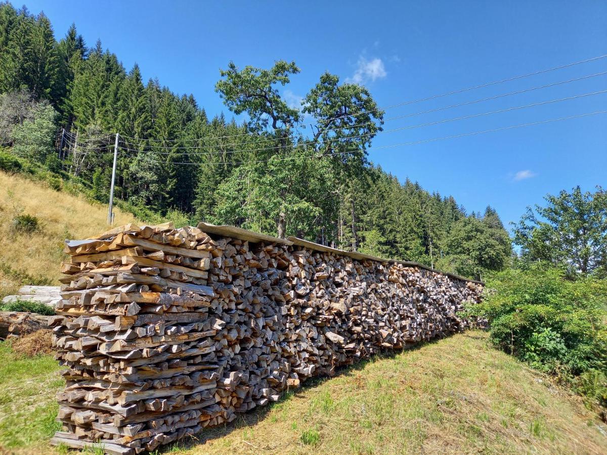 Landhaus Gruenjuwel Himmelberg Екстер'єр фото