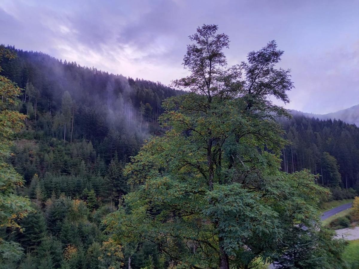 Landhaus Gruenjuwel Himmelberg Екстер'єр фото