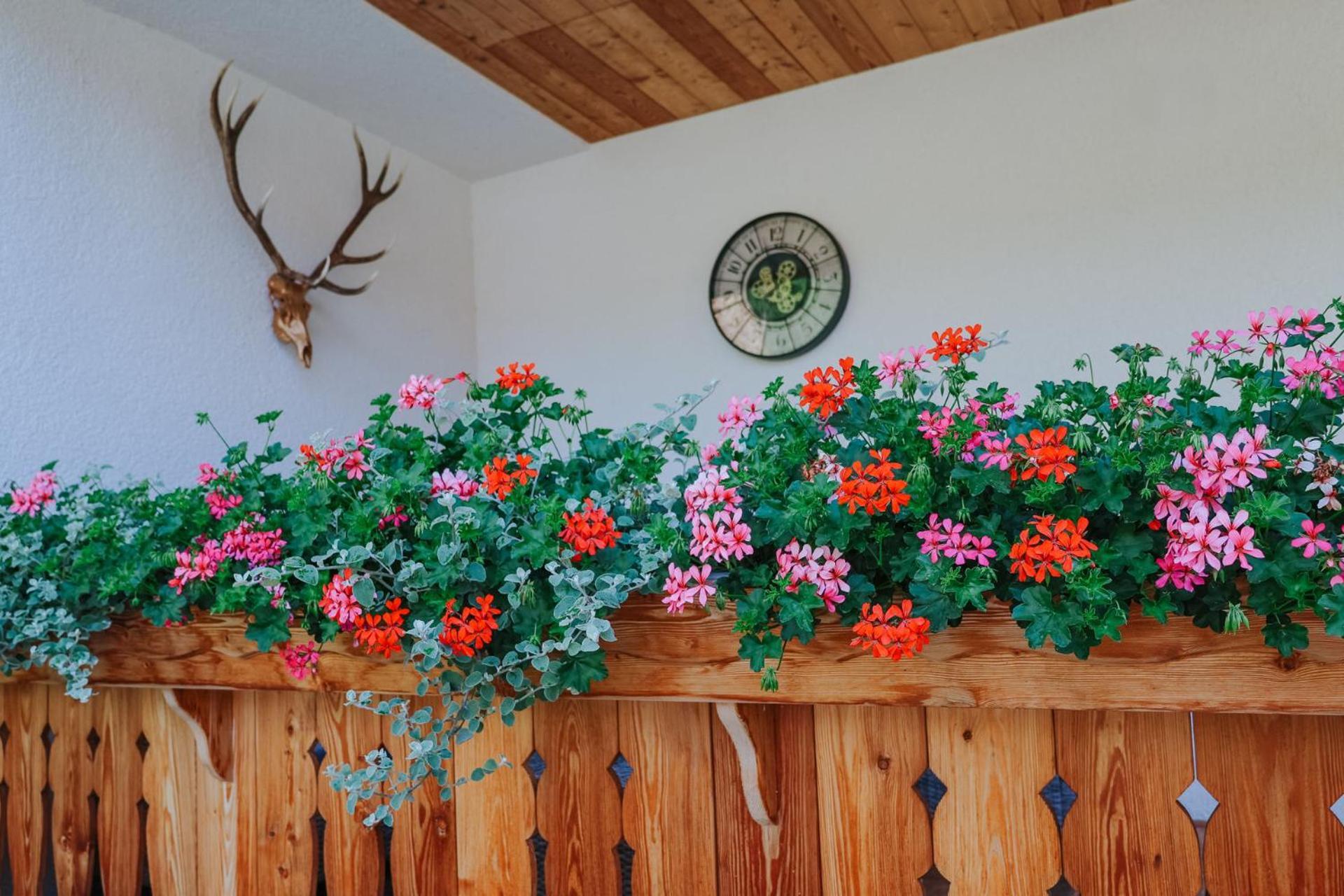 Landhaus Gruenjuwel Himmelberg Екстер'єр фото